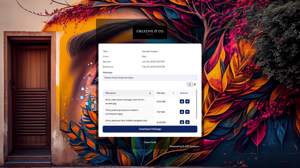 Portal Customization